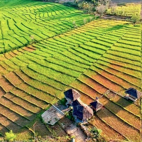 Tado Homestay Limbung Dış mekan fotoğraf